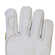 AXT-GP6040-MT-ITC